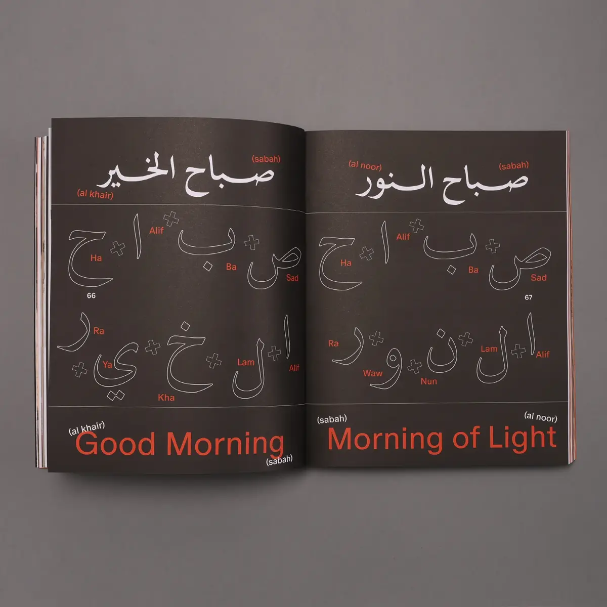 Haraka Baraka Book