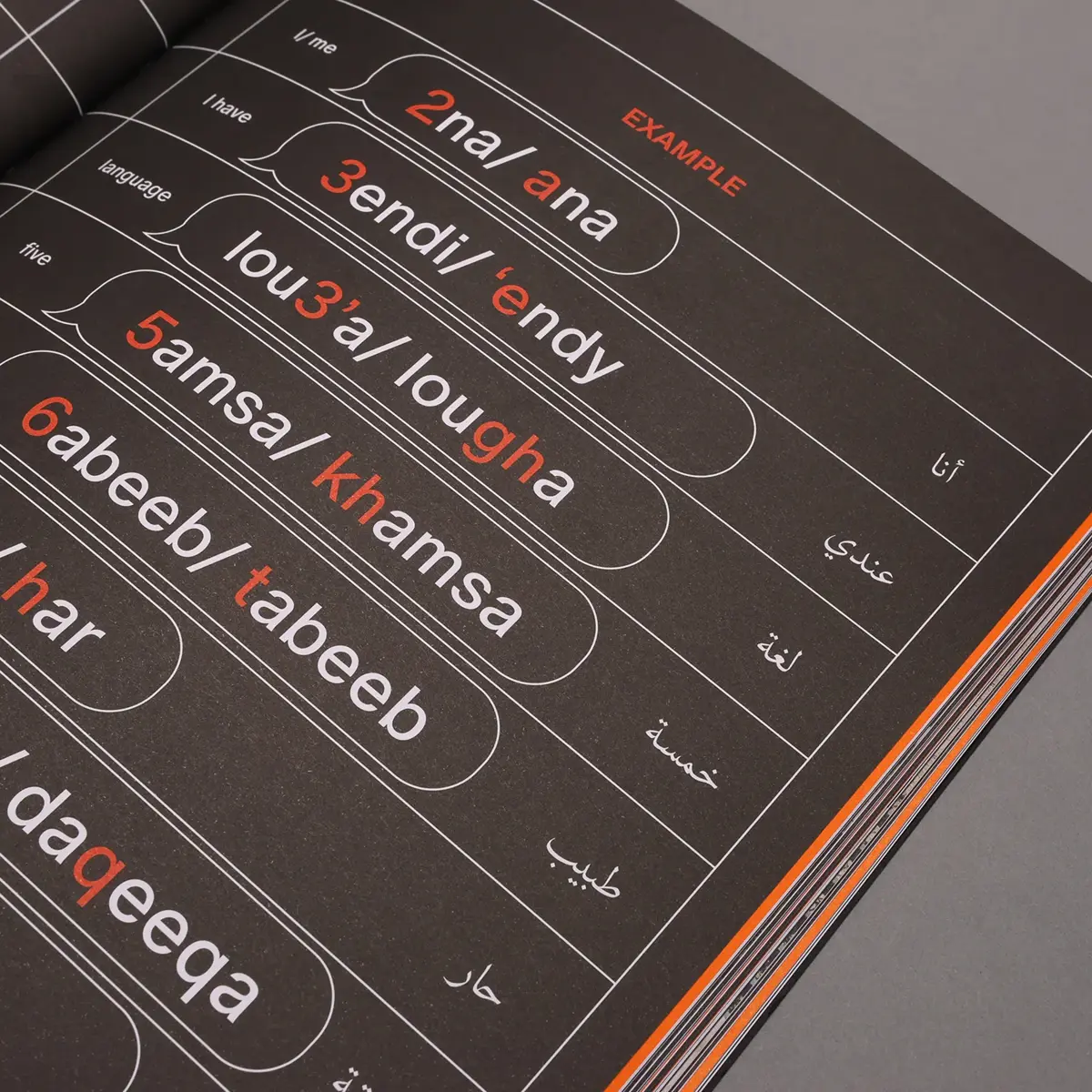 Haraka Baraka Book