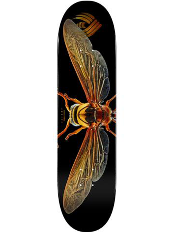 Powell-Peralta Biss Flight 247 Potter Wasp 8.0" Deck