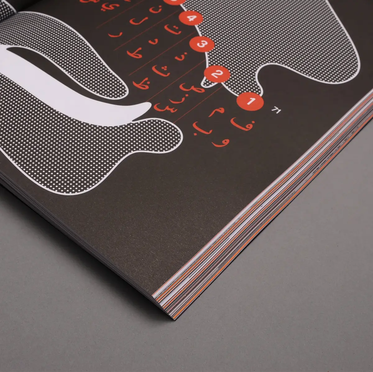 Haraka Baraka Book