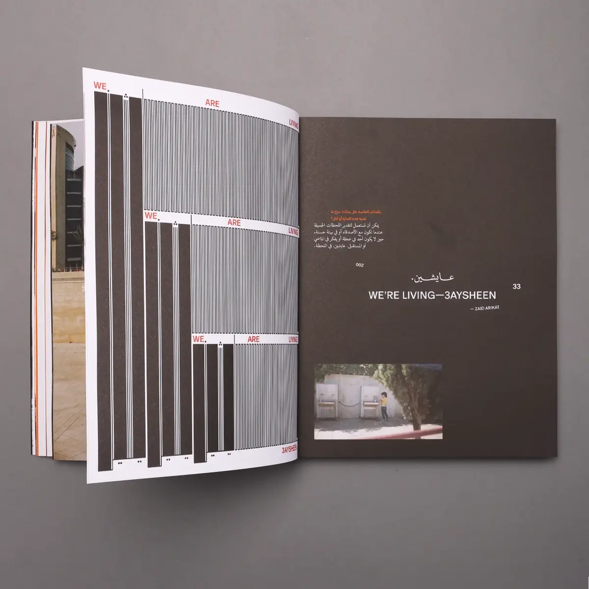 Haraka Baraka Book